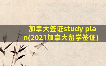 加拿大签证study plan(2021加拿大留学签证)